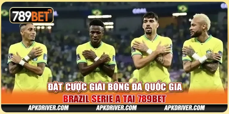 7-dat-cuoc-giai-bong-da-quoc-gia-brazil-serie-a-tai-789bet